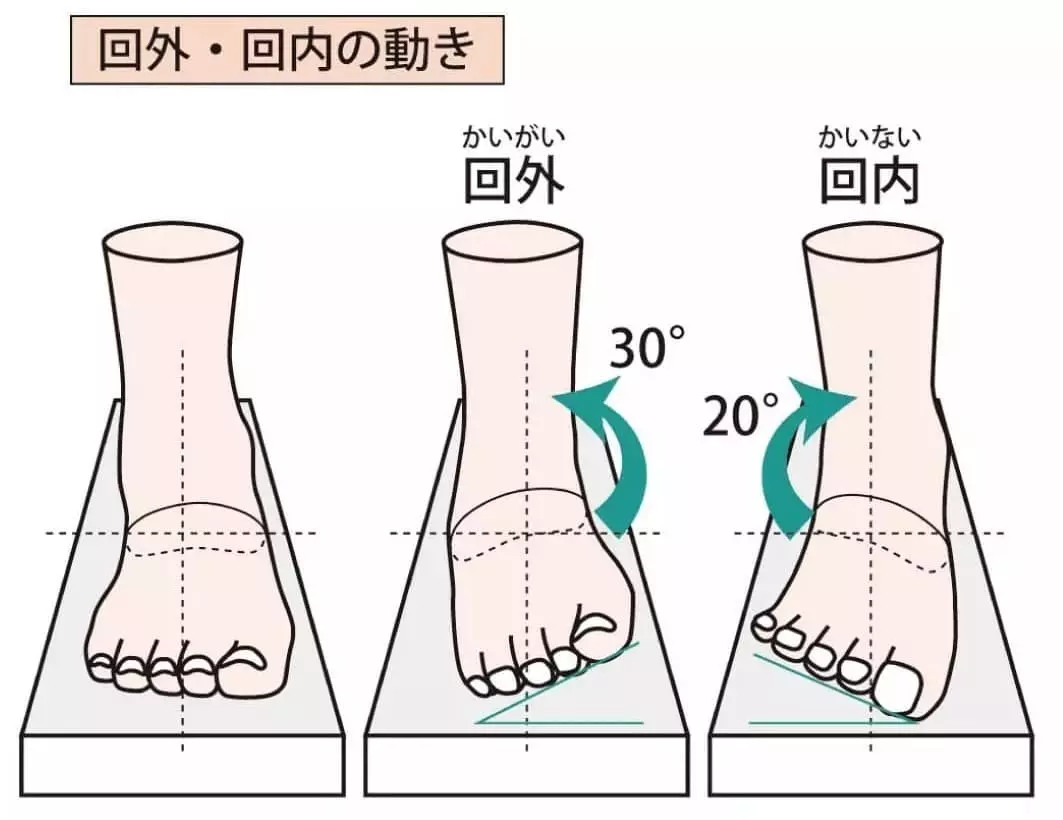 回外・回内の動き